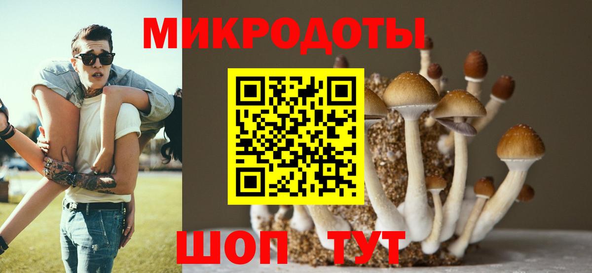Черногорск  наркотики  Вход с VPN  Галлюциногенные грибы Psilocybe 